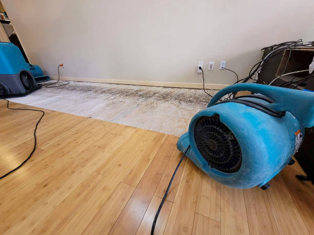 Professional Structural Drying technician working in Old Orchard Beach, ME